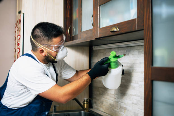 Best Best Pest Control Companies  in Pomeroy, OH