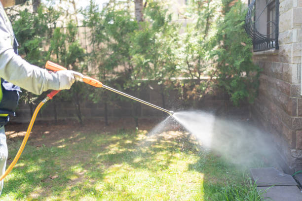Best Termite Control Services  in Pomeroy, OH