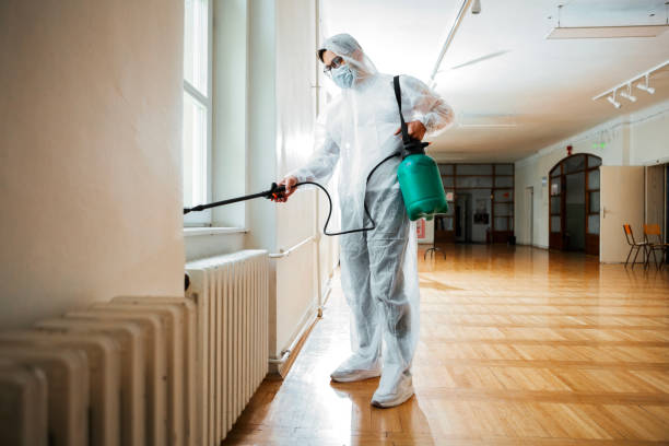 Best Ant Control Services  in Pomeroy, OH