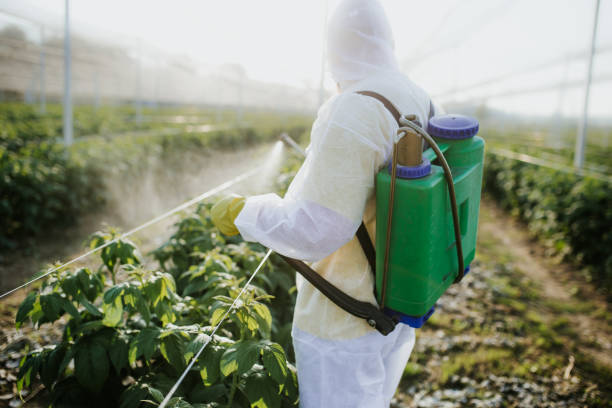 Best Best Pest Control Companies  in Pomeroy, OH